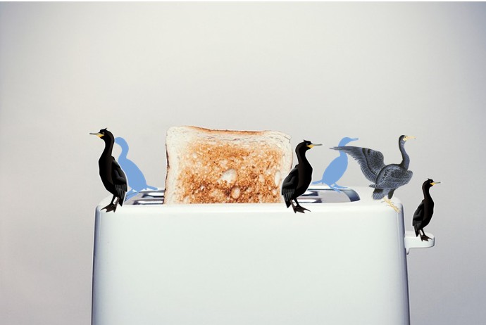 Le grille-pain (un rêve)