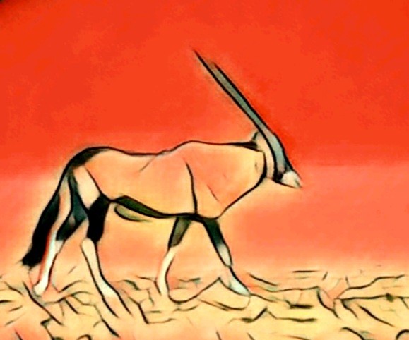 Voyage en Namibie