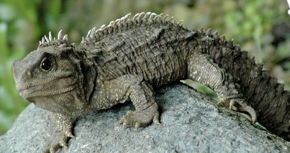 L&rsquo;anniversaire